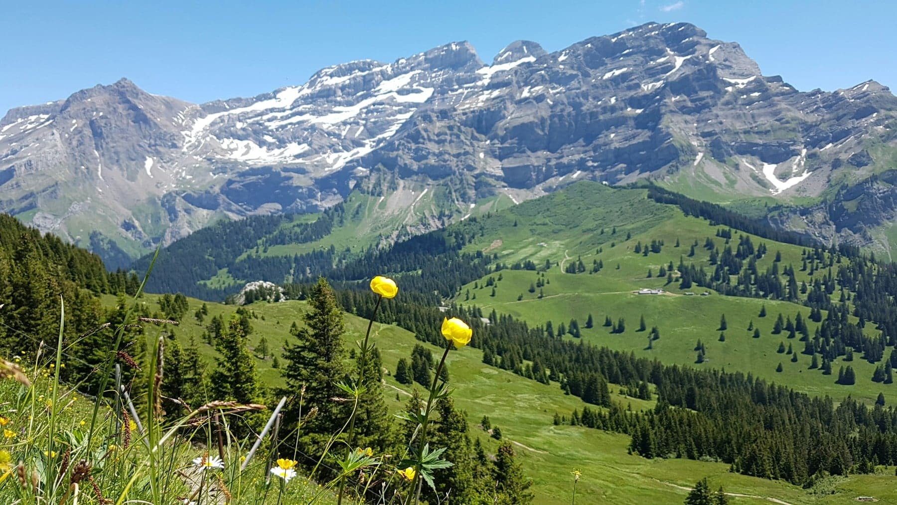 Alpine valley near Villars-sur-Ollon with snow-capped peaks behind