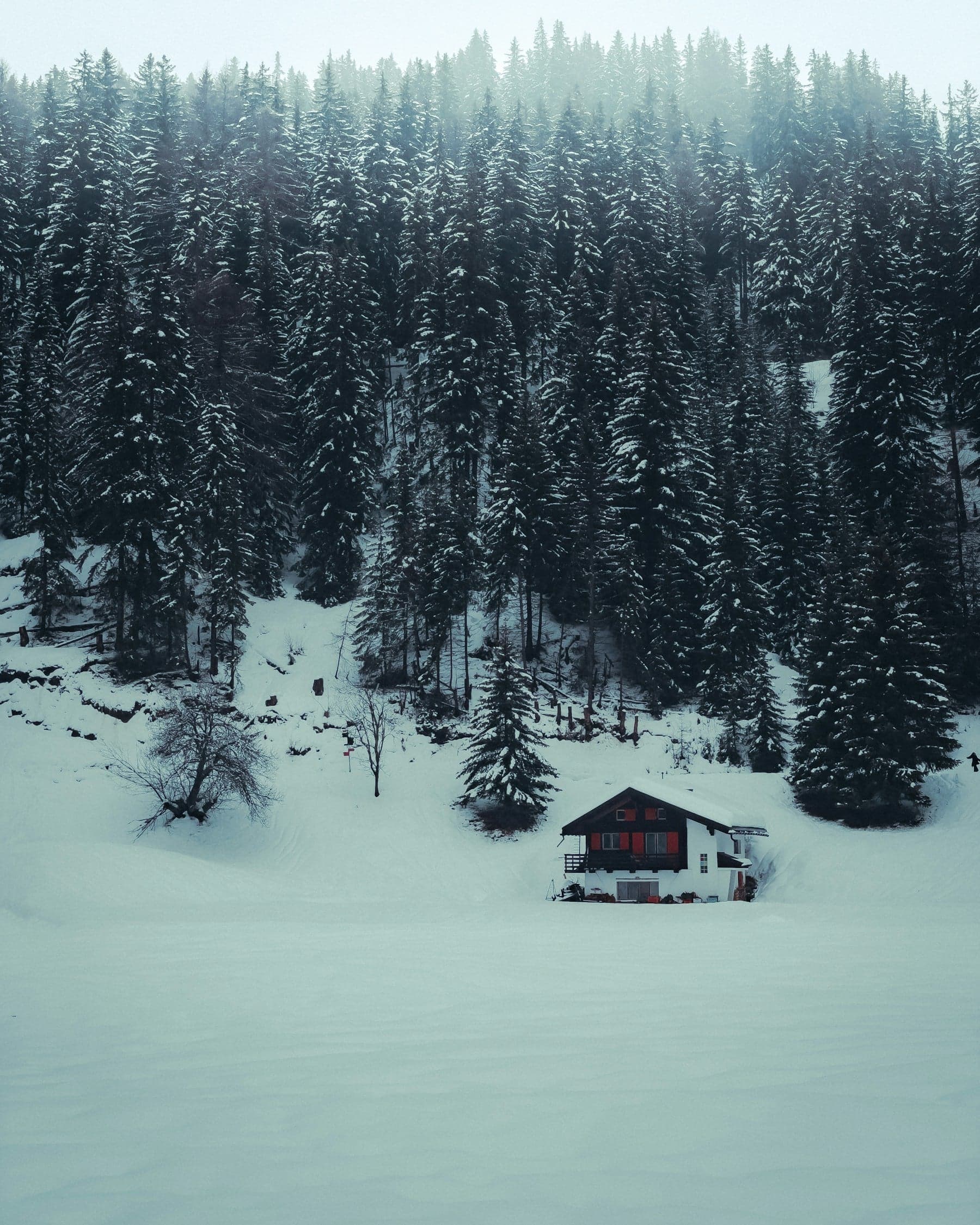 Chalet in the forest near Crans-Montana